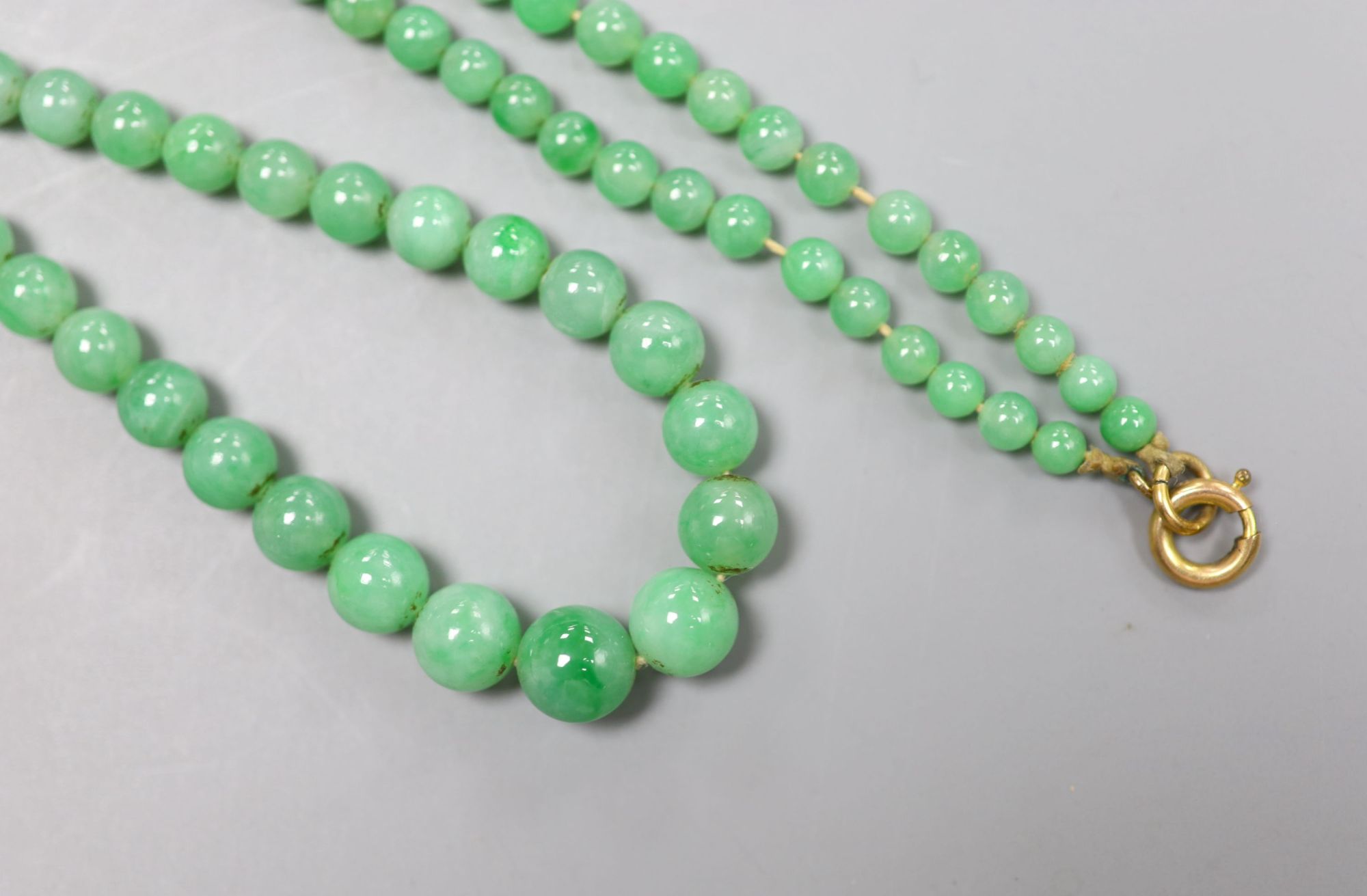 A single strand graduated jade bead necklace, 44cm, gross weight 23.6 grams.